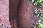 Deep red soil