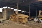 Planks entering kiln