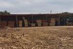 Planks ready for sale